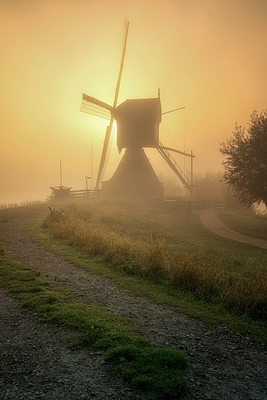 crop image