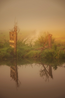 crop image
